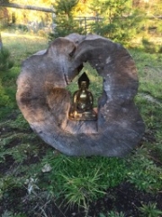 New Hollow log shrine