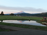 Mt. Adams Reflection in the Pond
